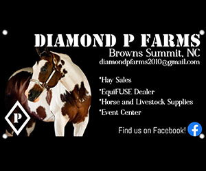 colored-twha-logos 0015 diamond-p-farms-colored